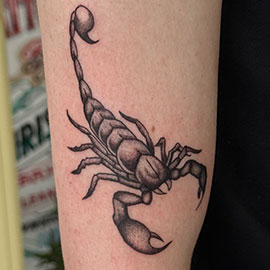 Custom Scorpion Blackwork Fineline Design by sheila.tattoos Lights Out Tattoo Santa Cruz CA